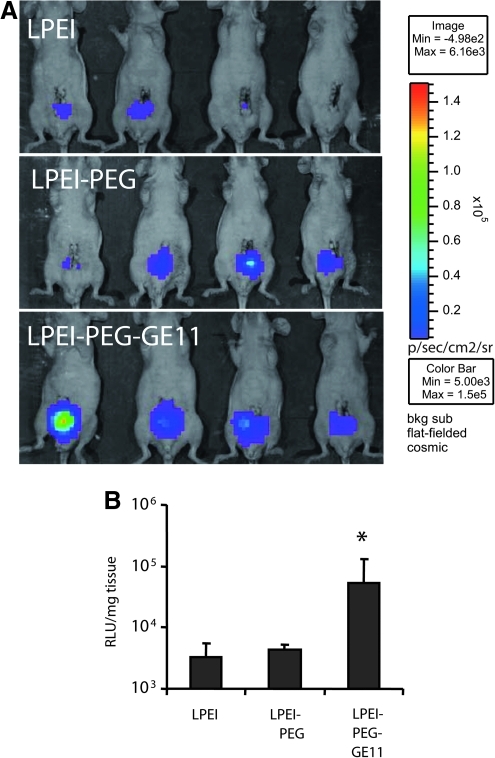 FIG. 6.