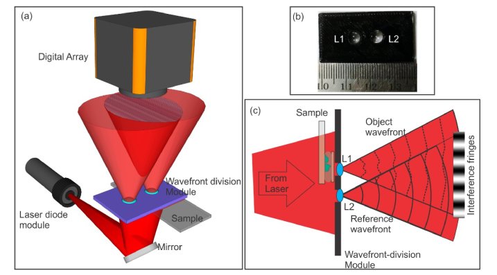 Fig. 1