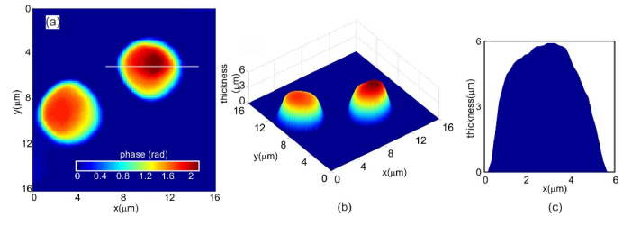 Fig. 2