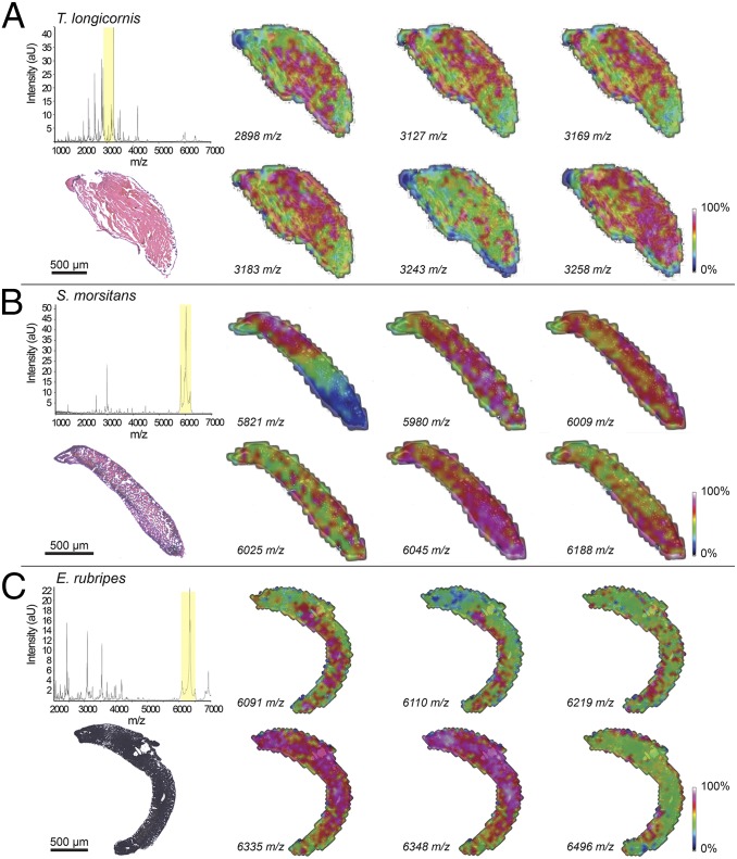 Fig. 4.