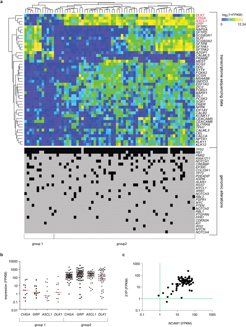 Extended Data Figure 9