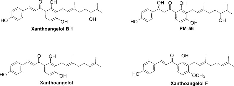 Scheme 4