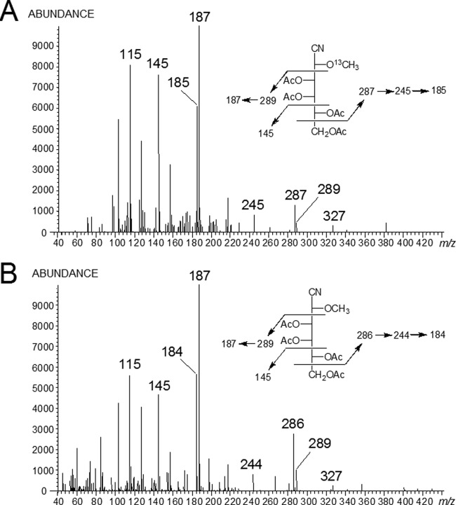 FIG 3