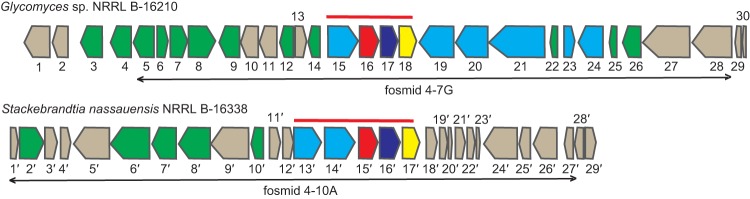 FIG 6