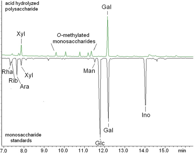 FIG 2