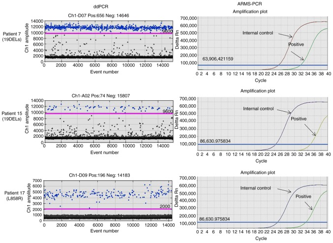 Figure 6.