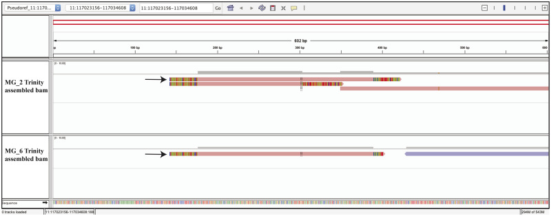 Figure 4: 