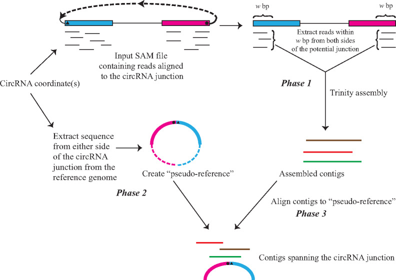 Figure 1: 