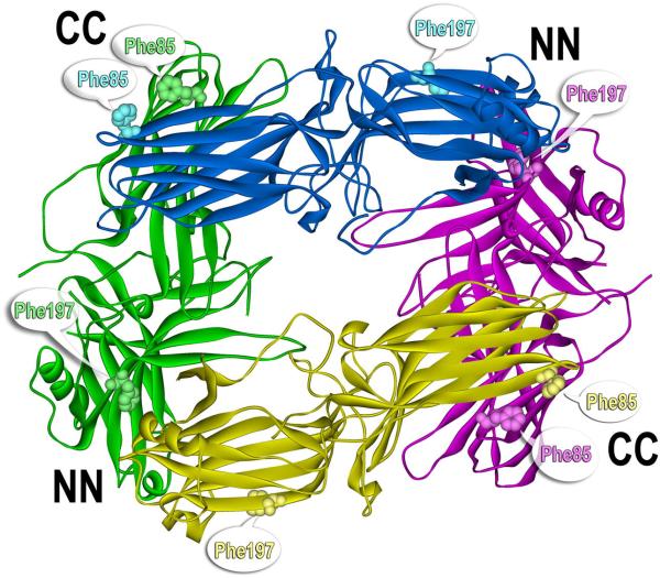 Fig. 7