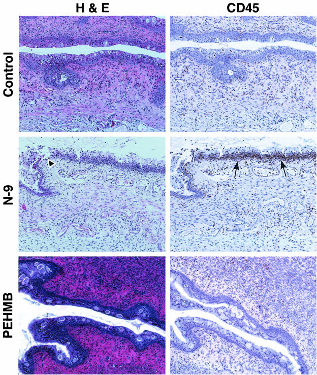 FIG. 7.