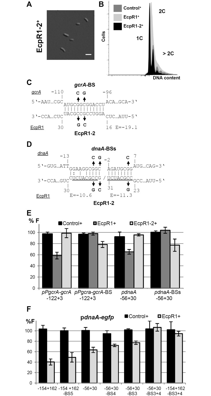 Fig 5