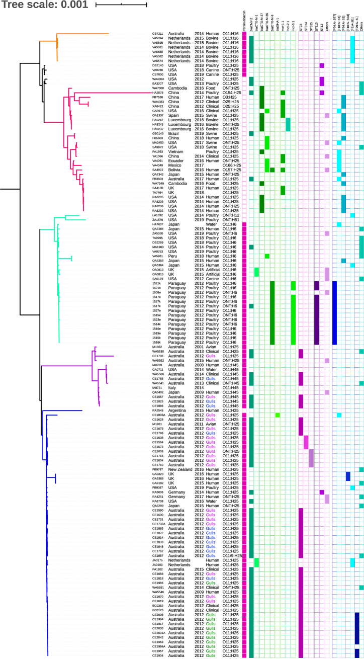 FIG 2