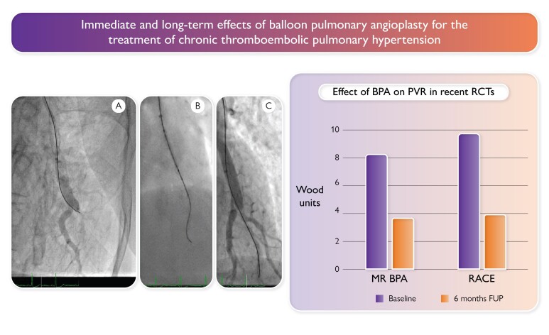 Graphical Abstract