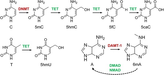 Figure 1