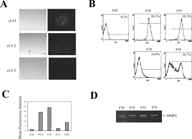 FIG. 4.