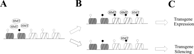 FIG. 10.