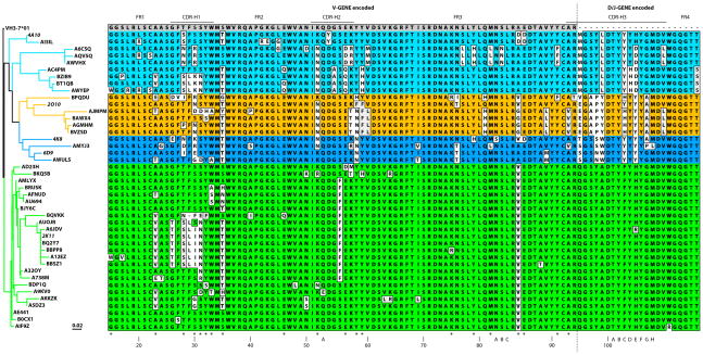 FIGURE 3