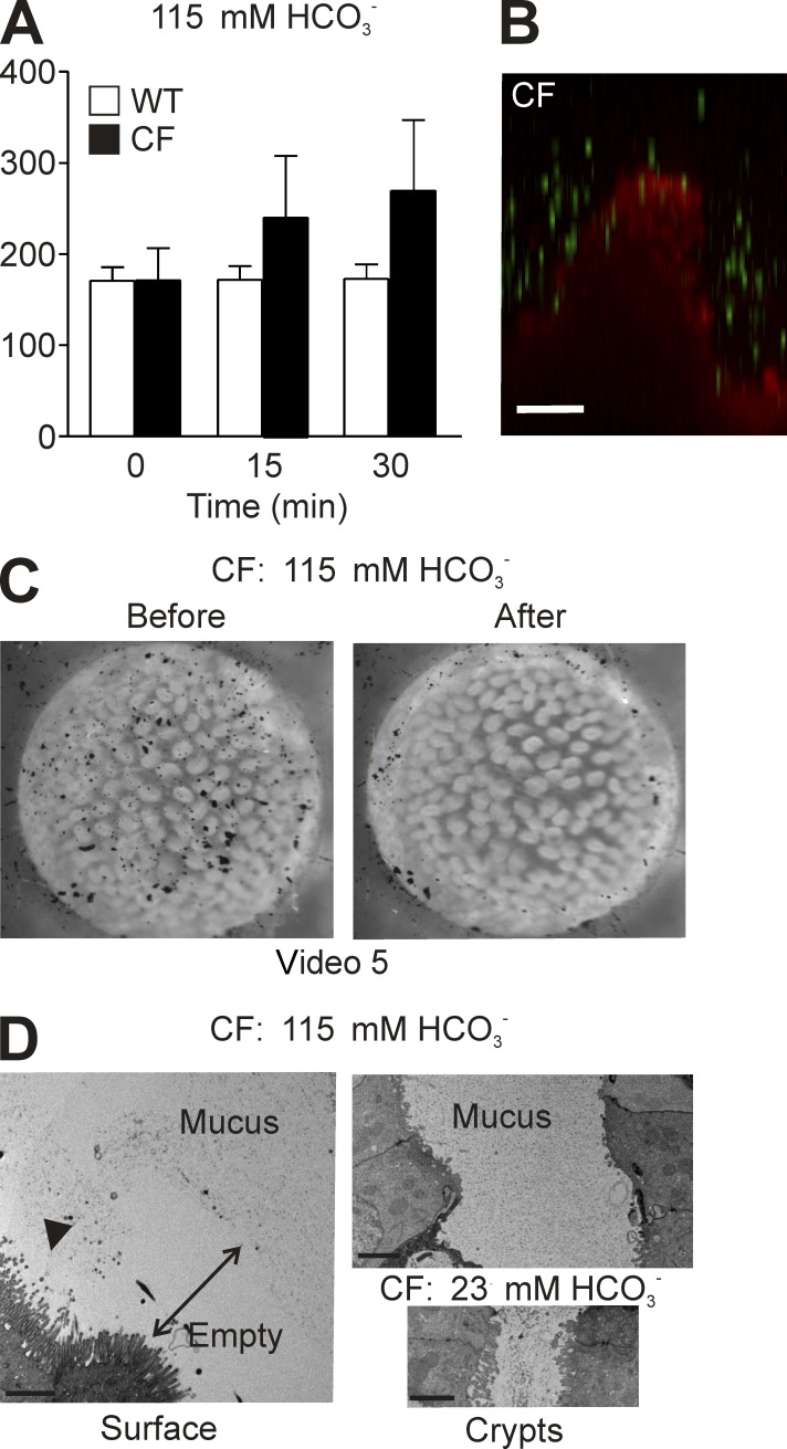 Figure 5.