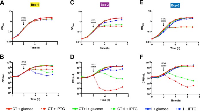 FIG 6