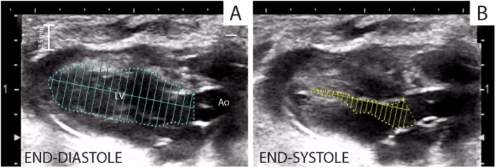 Fig. 5