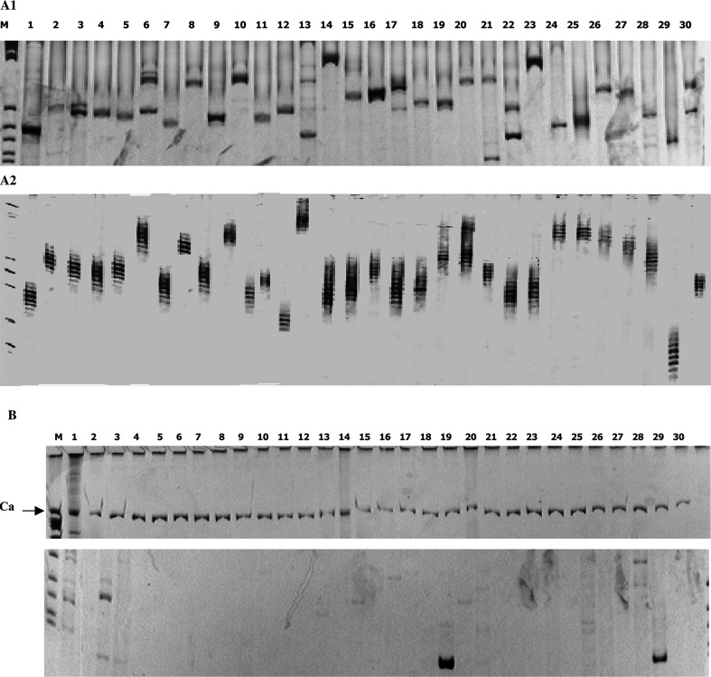 Fig. 3