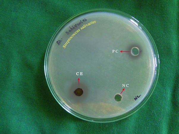 [Table/Fig-5]