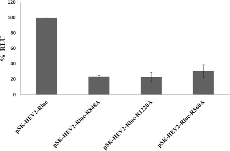 FIG 2