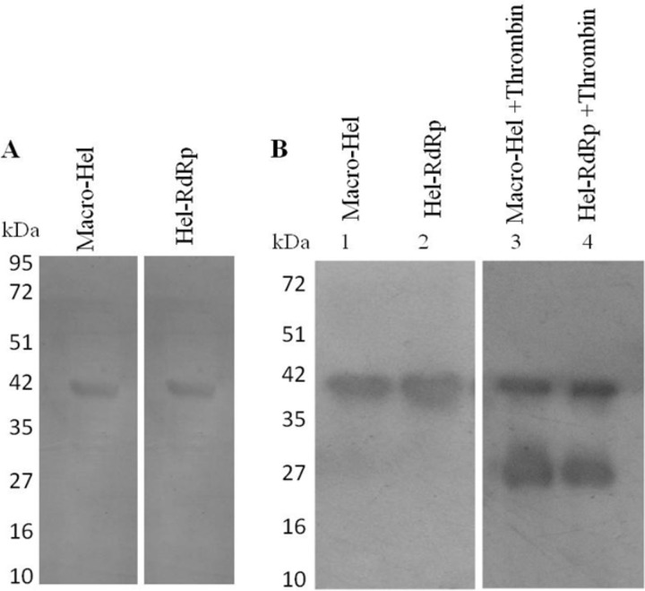 FIG 3