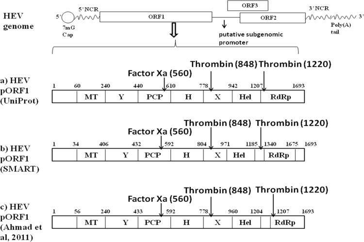 FIG 1