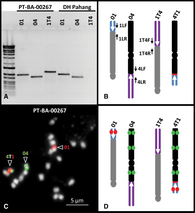 Fig. 3.