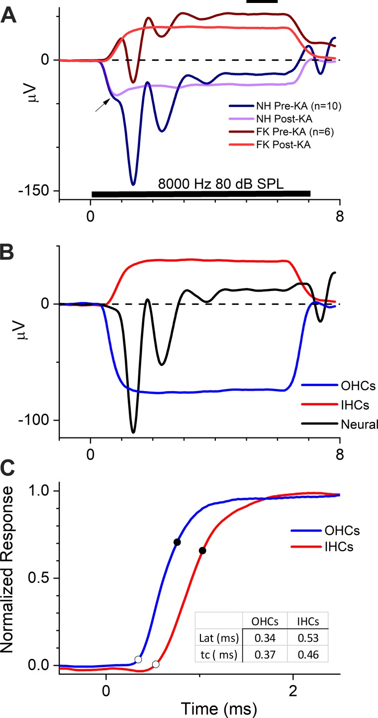 Fig. 8.