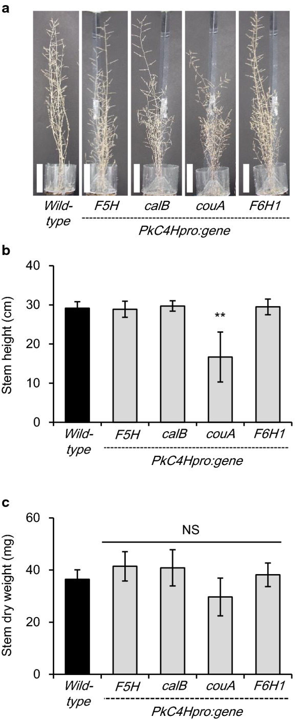 Fig. 2