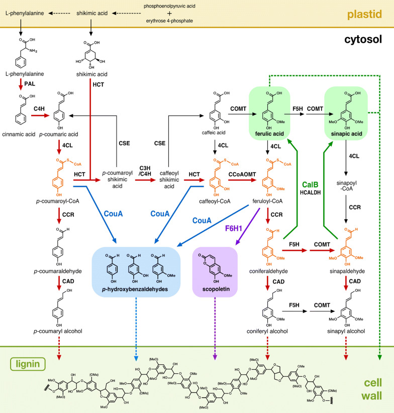 Fig. 1