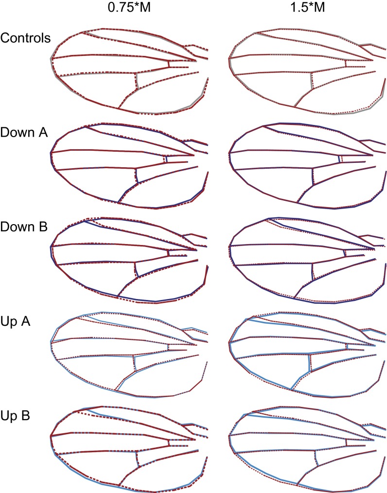 Fig. S1.