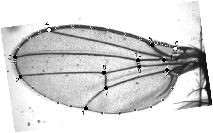 Fig. S3.