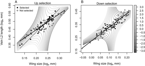 Fig. 3.