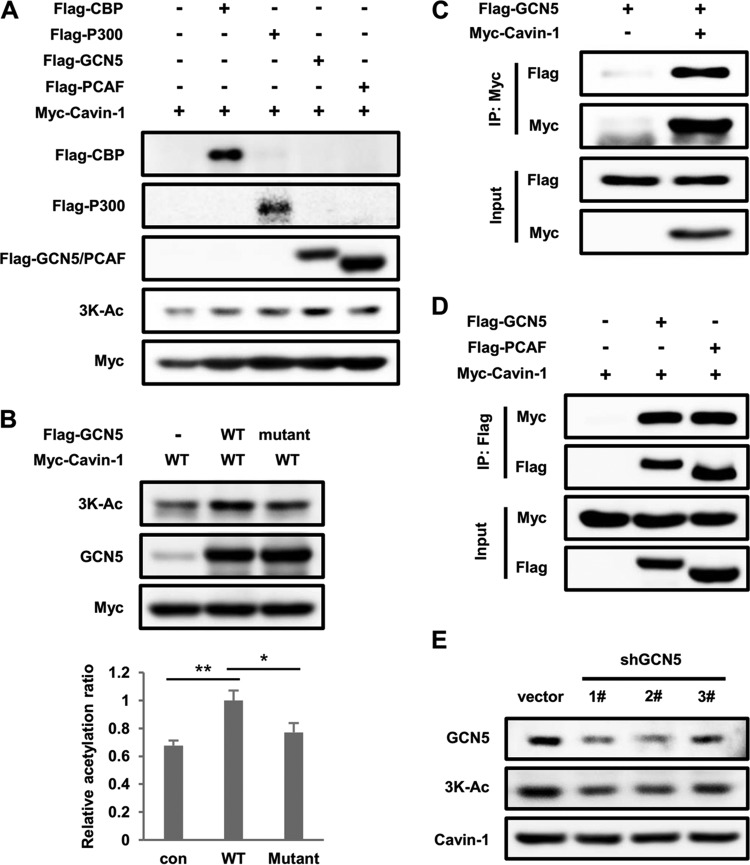 FIG 3