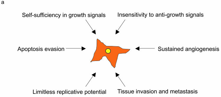 Figure 1a