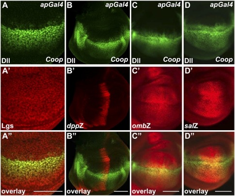 Figure 3.