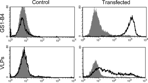 FIG. 4.