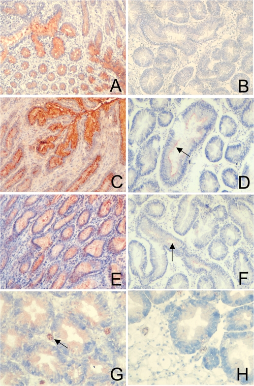 FIG. 5.