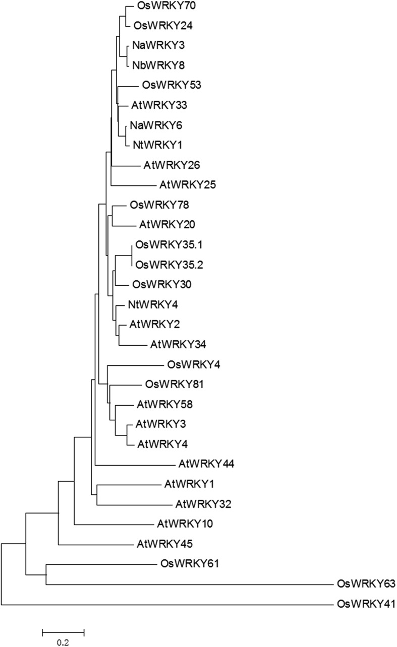 Figure 1—figure supplement 2.