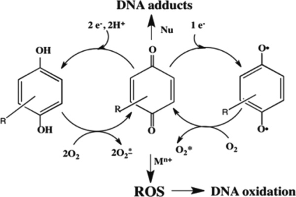 Scheme 4