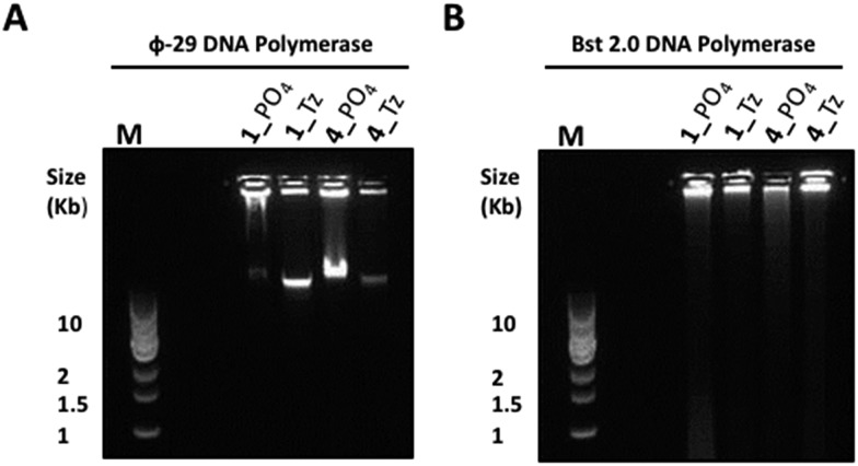 Fig. 8