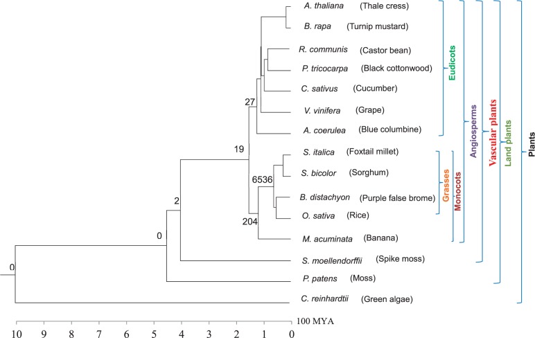 Fig. 3.—