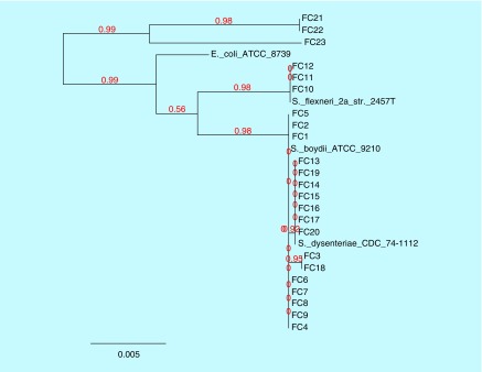 Figure 3. 