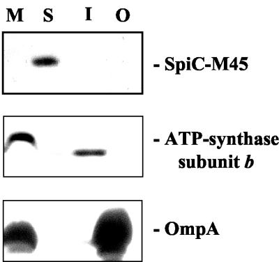 FIG. 5.