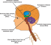 Figure 2.