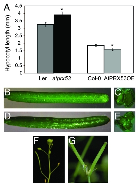 Figure 3.