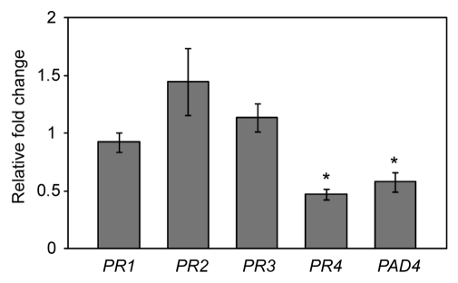 Figure 5.